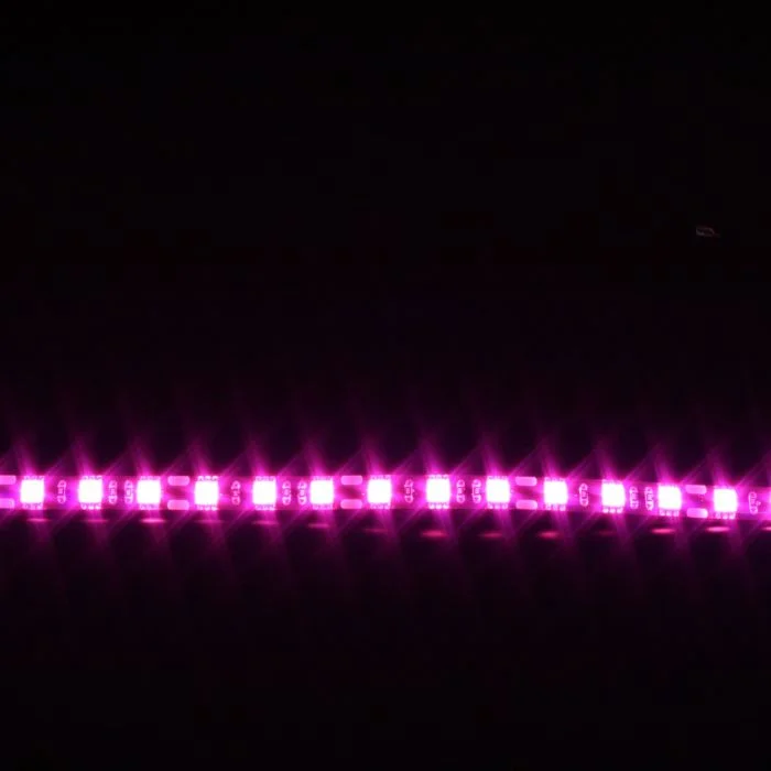 2026_06_20_1595335