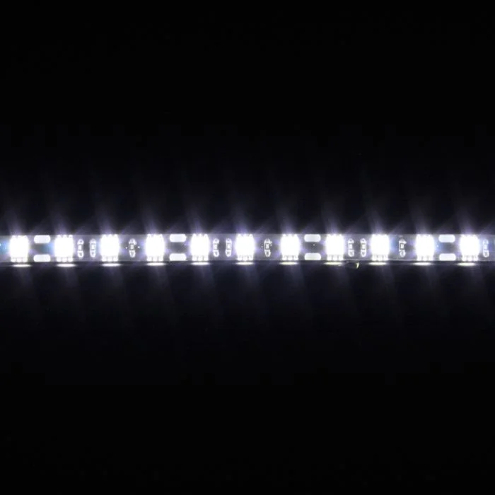 2026_06_20_1595498